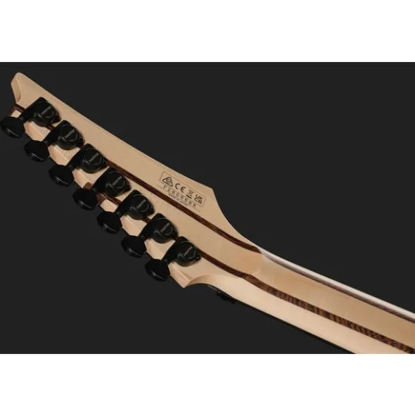 Ibanez SFS727 Stephan Forte