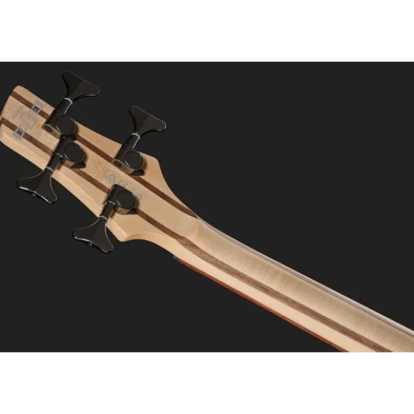 Ibanez SR300E-DOT