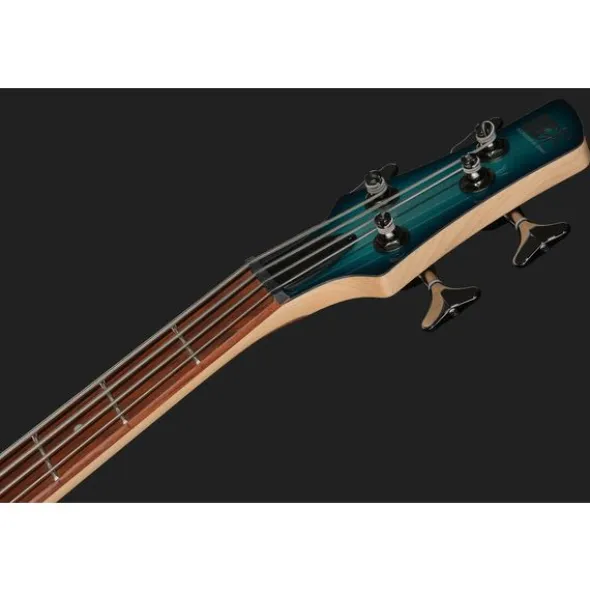 Ibanez SR300E-DOT