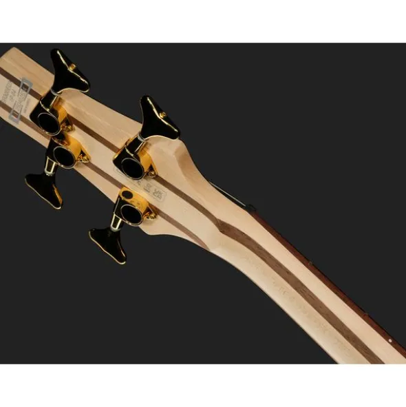 Ibanez SR300EDX-FBM