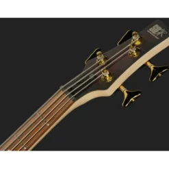 Ibanez SR300EDX-WZM