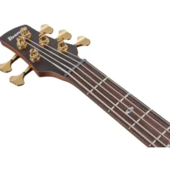 Ibanez SR6605-GFB Prestige
