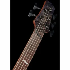 Ibanez SRMS805-DTW Workshop