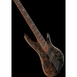 Ibanez SRMS805-DTW Workshop