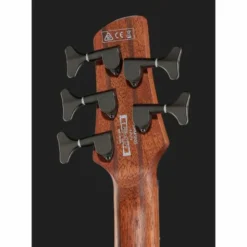 Ibanez SRMS805-DTW Workshop