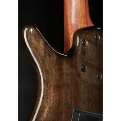 Ibanez SRMS805-DTW Workshop