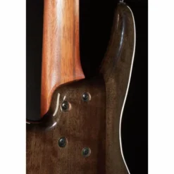 Ibanez SRMS805-DTW Workshop