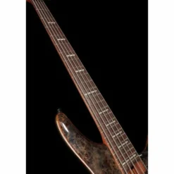 Ibanez SRMS805-DTW Workshop