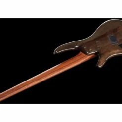Ibanez SRMS805-DTW Workshop