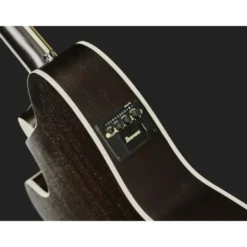 Ibanez TCM50-GBO