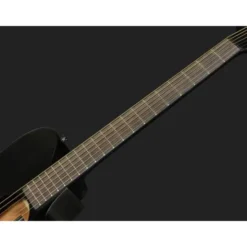 Ibanez TCY621-BOT