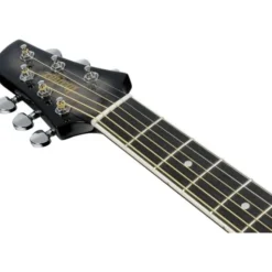 Ibanez TCY10PA-BKB