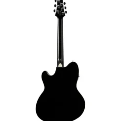 Ibanez TCY10PA-BKB