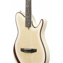 Ibanez Tim Henson TOD100FMN TMM