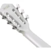 Ibanez Tim Henson TOD10N SMF
