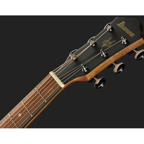 Ibanez VC44CE-OPN