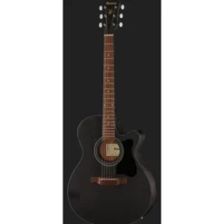 Ibanez VC44CE-WK
