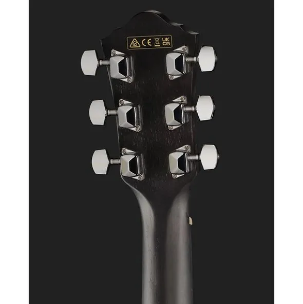 Ibanez VC44CE-WK