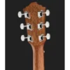 Ibanez V40-OPN