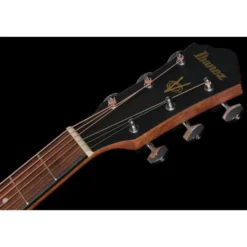 Ibanez V40-OPN