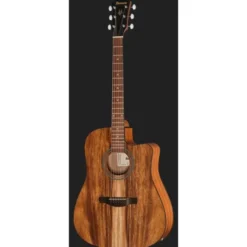 Ibanez V40WSCE-OPB