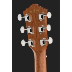 Ibanez V40WSCE-OPB
