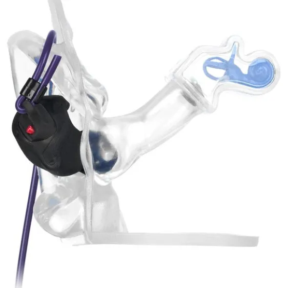 InEar StageClick SC-2S Multi