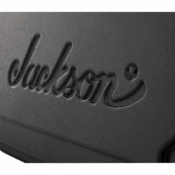 Jackson Soloist/Dinky Case