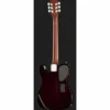 James Neligan EW3000 CN