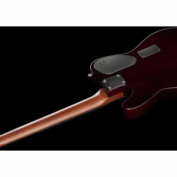 James Neligan EW3000 CN