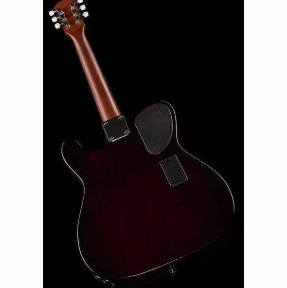James Neligan EW3000 CN
