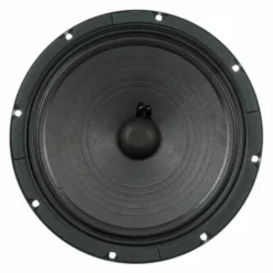 Jensen C10R Vintage Ceramic 8 Ohms