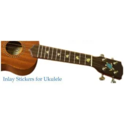 Jockomo Nature Sea Turtle Sticker
