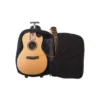Journey Instruments Cedar Zircot Parlor Tr B-Stock