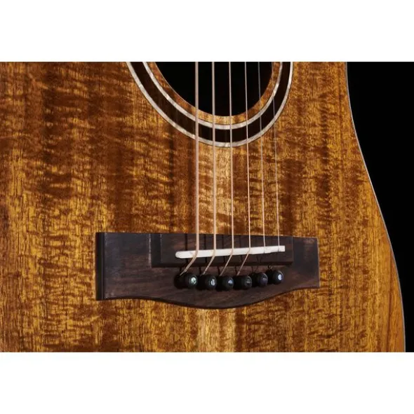 Journey Instruments OF882C Acacia Acoustic