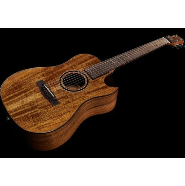 Journey Instruments OF882C Acacia Acoustic