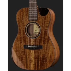 Journey Instruments OF882C Acacia Acoustic