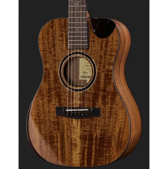 Journey Instruments OF882C Acacia Acoustic