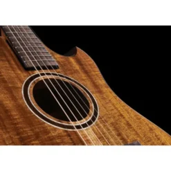 Journey Instruments OF882C Acacia Acoustic