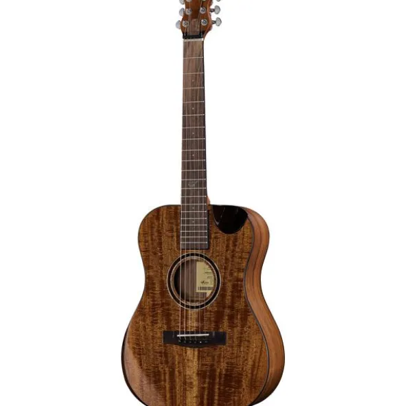 Journey Instruments OF882C Acacia Acoustic