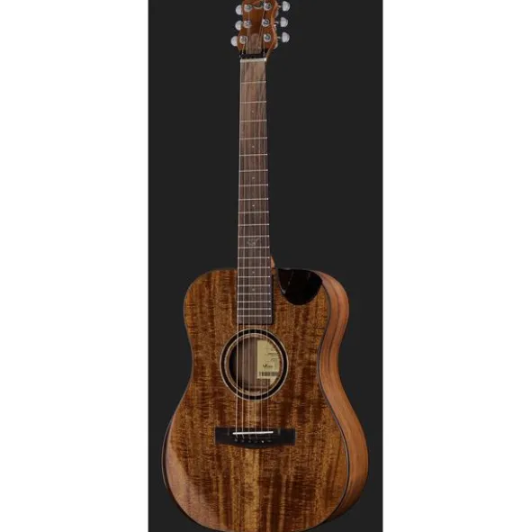 Journey Instruments OF882C Acacia Acoustic