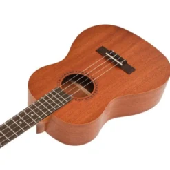 Kala KA-15 B Baritone Ukulele
