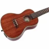 Kala KA-CGE Concert Ukulele