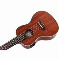 Kala KA-CGE Concert Ukulele