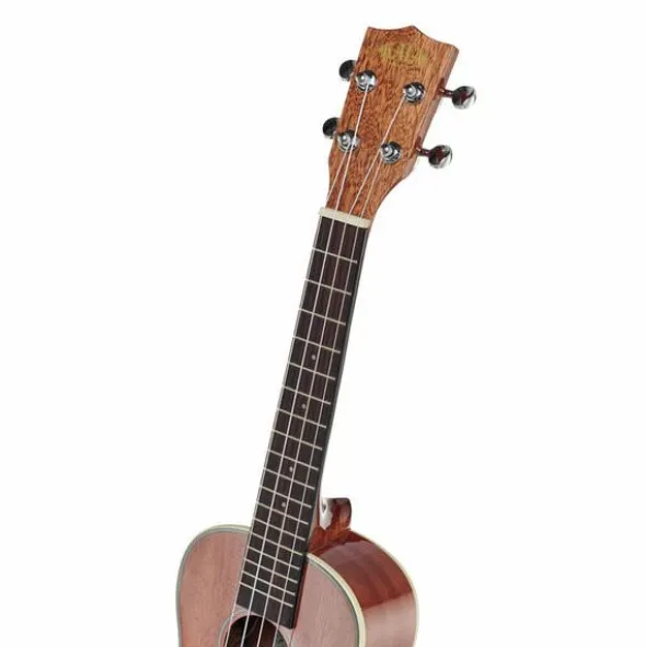 Kala KA-CGE Concert Ukulele