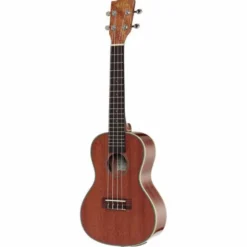 Kala KA-CGE Concert Ukulele