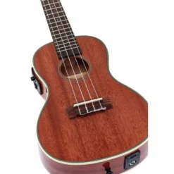 Kala KA-CGE Concert Ukulele