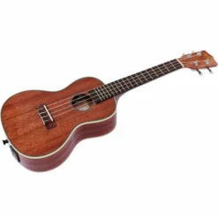 Kala KA-CGE Concert Ukulele