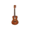 Kala KA-CG Mahogany Concert B-Stock