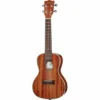 Kala KA-CG Mahogany Concert Ukulele